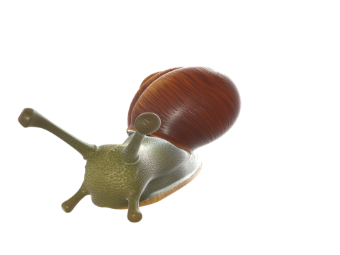 Realistic Stylized Snail 3D 모델