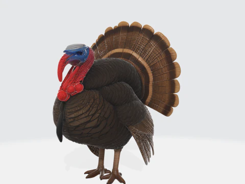 Realistic Turkey Thanksgiving Decor Wild Turkey 3D Print Model