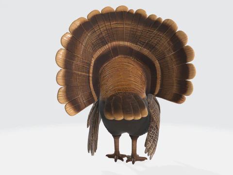 Realistic Turkey Thanksgiving Decor Wild Turkey 3D Print Model