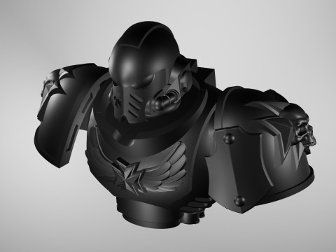 Black templar 3D Model