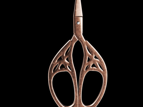 Vintage Scissors Set of 5 3D Модель