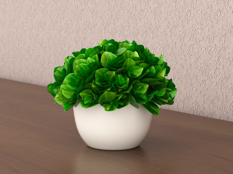 Decorative flower in a pot 3Dモデル
