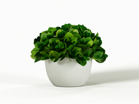 Decorative flower in a pot 3Dモデル