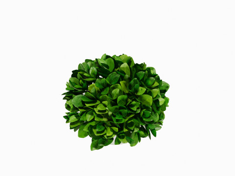Decorative flower in a pot 3Dモデル
