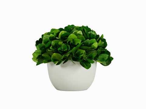 Decorative flower in a pot 3Dモデル