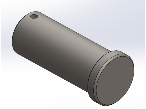 50 x L120 Pin 3D Model