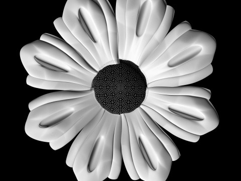 Volumetric decor for CNC milling 3D Print Model