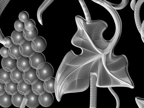 Doors with leaves and grapes for CNC router Free 3D print model 3D Print Model