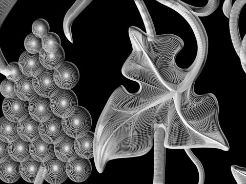 Doors with leaves and grapes for CNC router Free 3D print model 3D Print Model