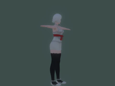 3DsMax Biped model PS3 gmae Cathrine cosplay 3D Model