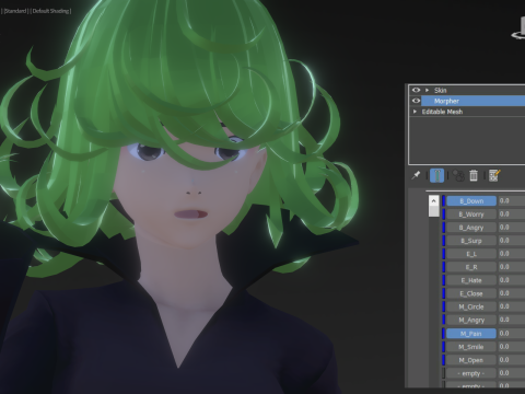 3DsMax Biped model One-Punch Man Tatsumaki cosplay Model 3D