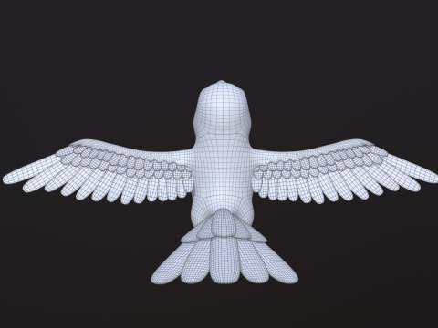 Asset - Cartoons - Animal - Toucan Rigged 3D Модель