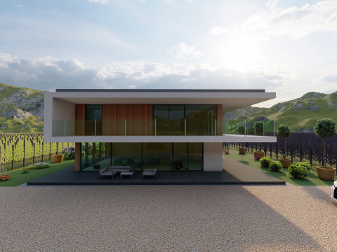 Modern Vineyard Estate - Collection 3D Model