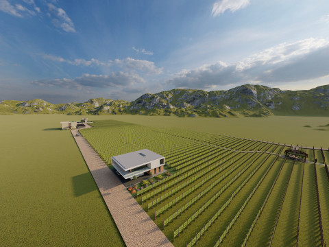 Modern Vineyard Estate - Collection 3D Model