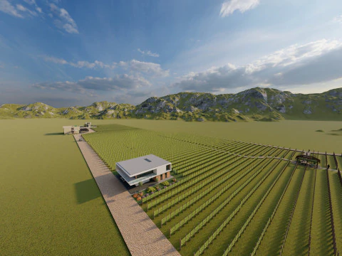 Modern Vineyard Estate - Collection 3D Model