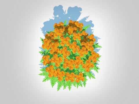 Achillea - yarrow orange 3D 模型