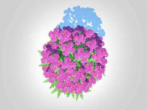Achillea - yarrow purple 3D Model
