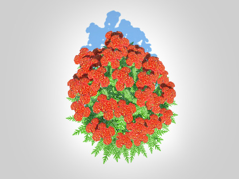 Achillea - yarrow red 3D-Modell