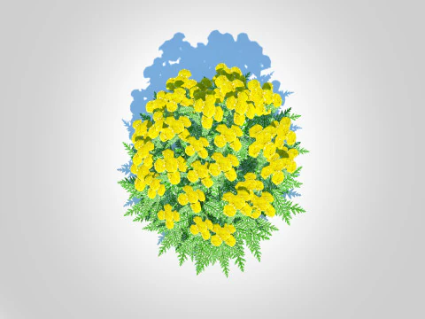 Achillea - yarrow yellow 3D Model