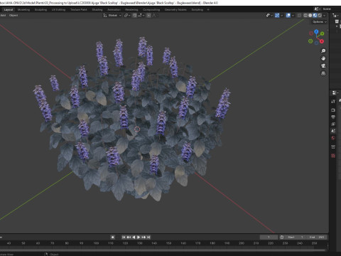Ajuga Black Scallop - Bugleweed Model 3D