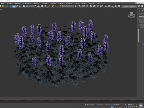 Ajuga Black Scallop - Bugleweed Model 3D