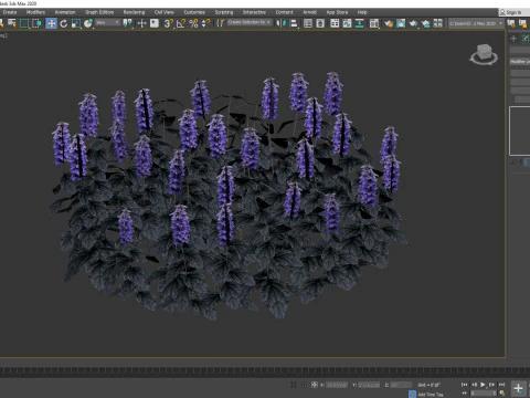 Ajuga Black Scallop - Bugleweed 3D Model