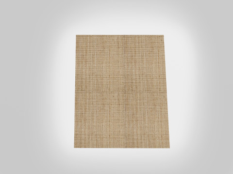 Jute Rug 3D Model