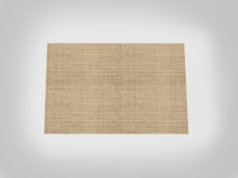Jute Rug 3D Model