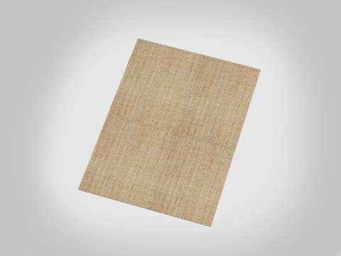 Jute Rug 3D Model