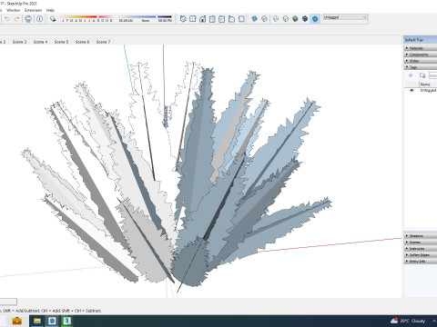 Asparagus densiflorus 3D 模型