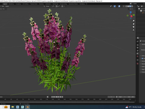 Angelonia angustifolia - Anglemist Orchid 3D Model