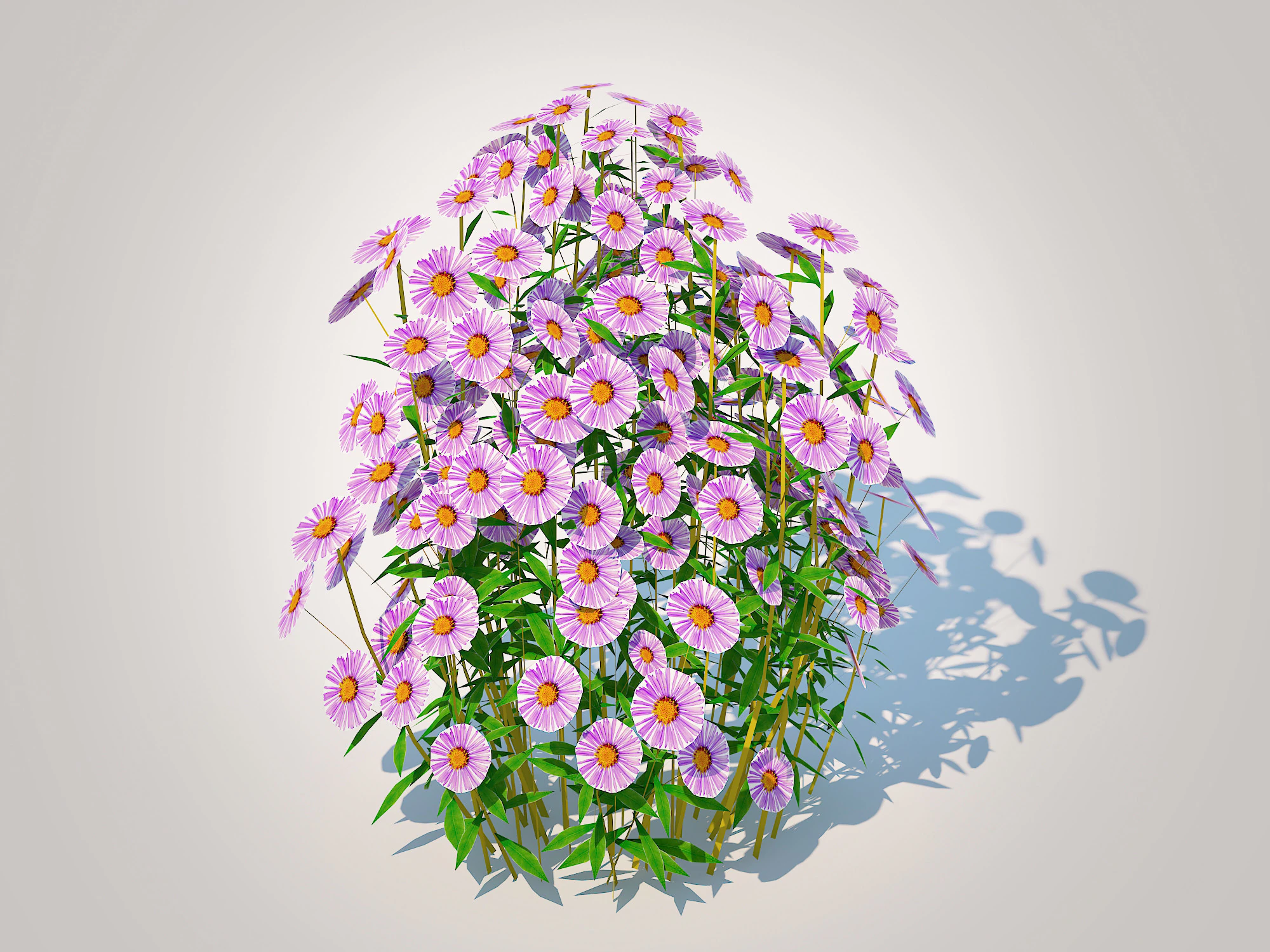 Aster novae-angliae - New England Aster - mauve 3D Model .c4d .max .obj .3ds .fbx .stl .blend