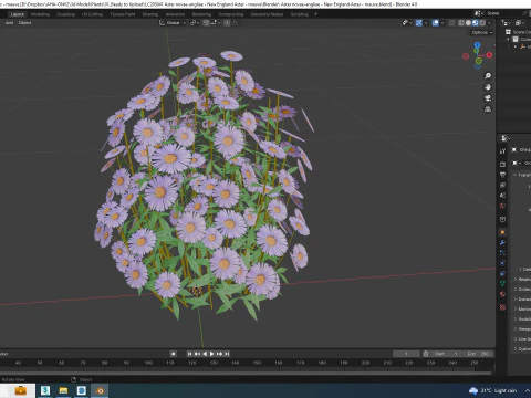 Aster novae-angliae - New England Aster - mauve 3D Model