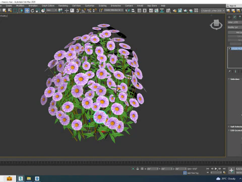 Aster novae-angliae - New England Aster - mauve 3D Model
