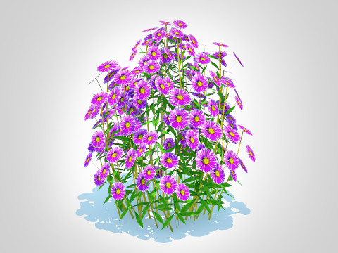 Aster novae-angliae - New England Aster - purple Modelo 3D