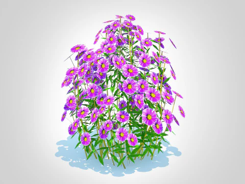 Aster novae-angliae - New England Aster - purple 3D Model