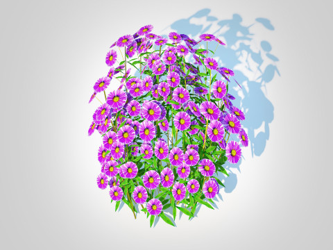 Aster novae-angliae - New England Aster - purple Modelo 3D