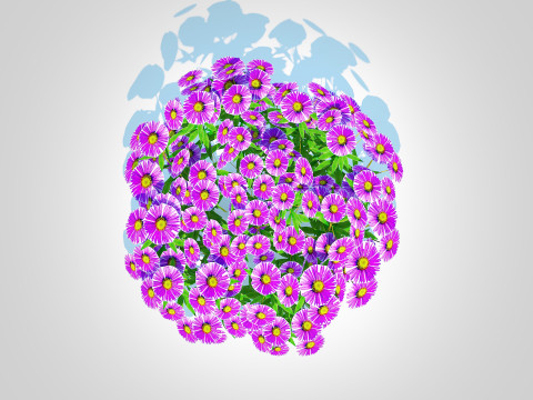 Aster novae-angliae - New England Aster - purple Modelo 3D