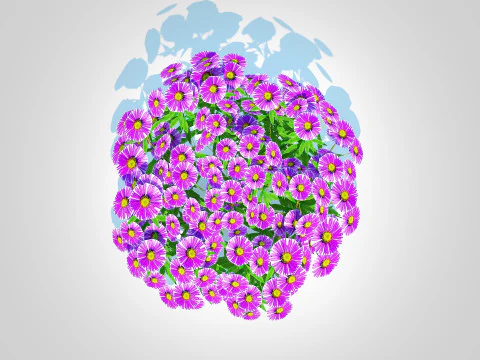 Aster novae-angliae - New England Aster - purple 3D Model