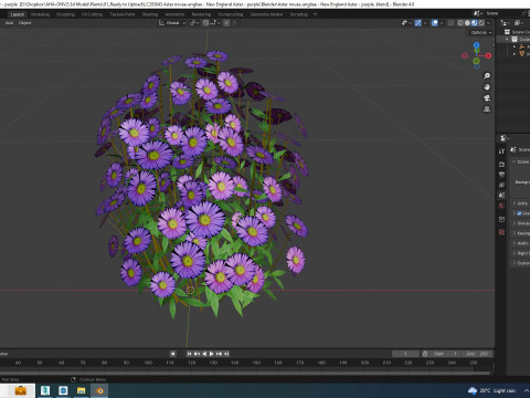 Aster novae-angliae - New England Aster - purple Modelo 3D