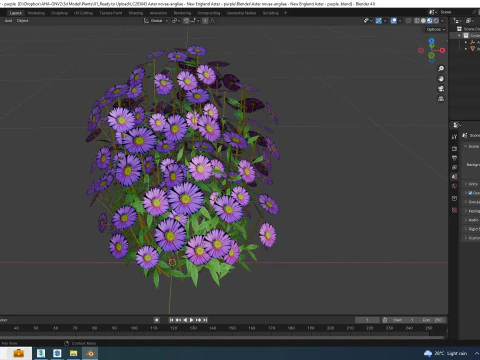 Aster novae-angliae - New England Aster - purple 3D Model
