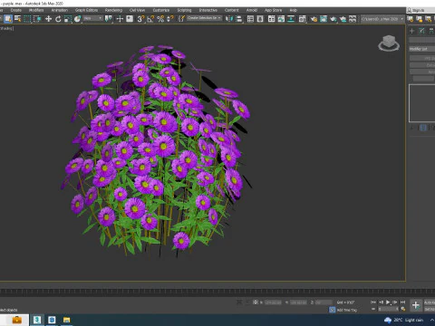 Aster novae-angliae - New England Aster - purple 3D Model