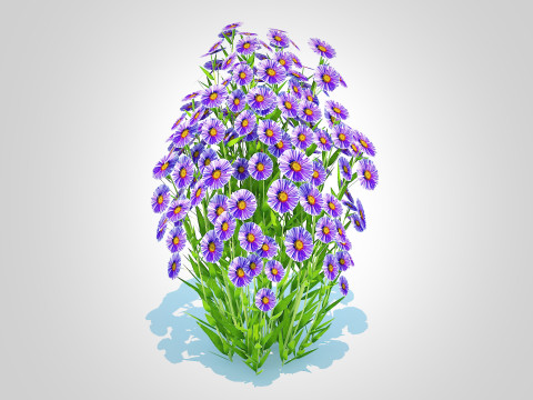 Aster novi-belgii - Dawrf Aster - blue 3Dモデル
