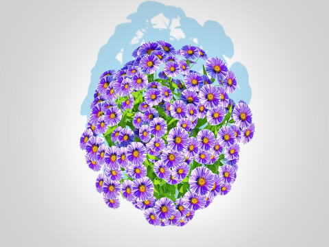 Aster novi-belgii - Dawrf Aster - blue 3Dモデル