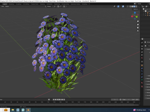 Aster novi-belgii - Dawrf Aster - blue 3Dモデル