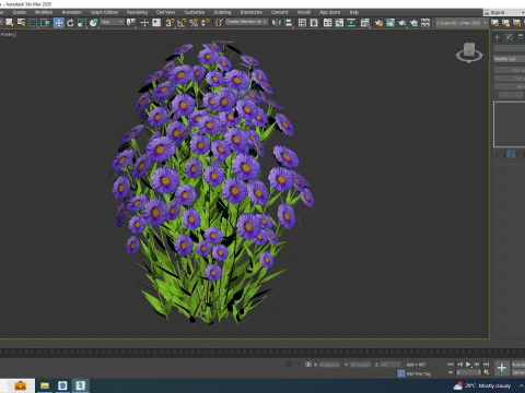 Aster novi-belgii - Dawrf Aster - blue 3D Model