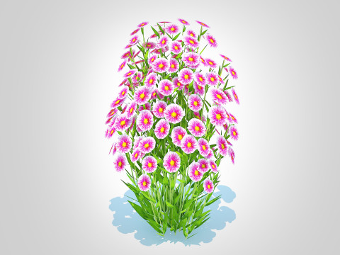 Aster novi-belgii - Dawrf Aster - pink Modèle 3D