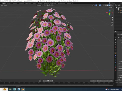 Aster novi-belgii - Dawrf Aster - pink Modèle 3D