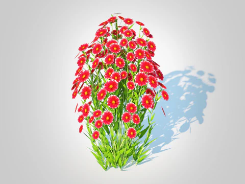 Aster novi-belgii - Dawrf Aster - rojo Modelo 3D