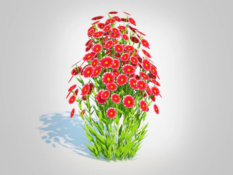 Aster novi-belgii - Dawrf Aster - red 3D Model
